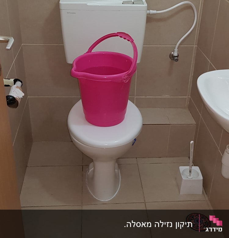 דלי ורוד על אסלה בחדר שירותים